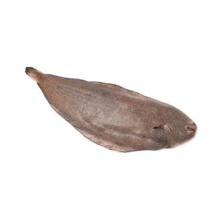 Fresh Sole Fish ±980g