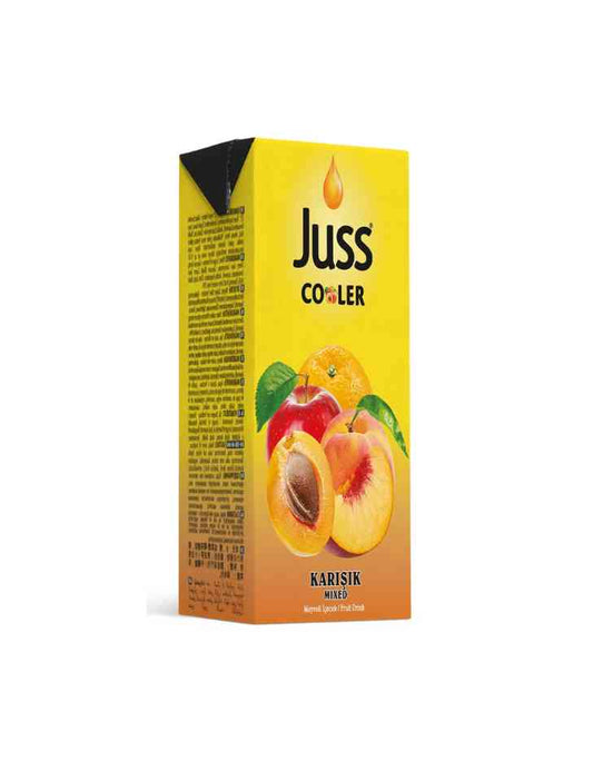 Juss Cooler Mixed Fruit Juice 200ml