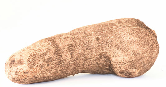 Tuber of yam