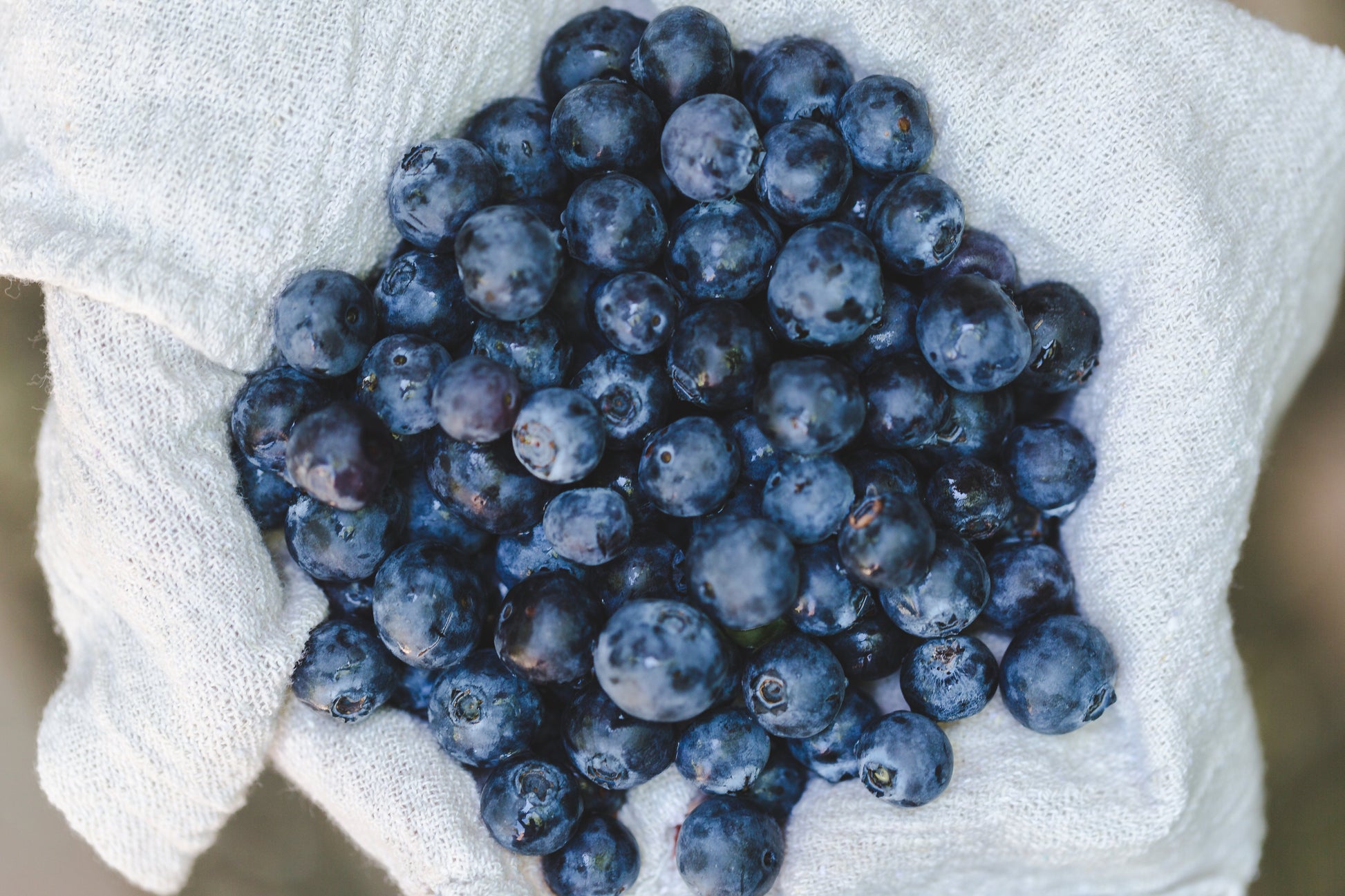 125 gram pack of blueberry 