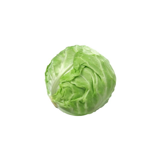 Cabbage