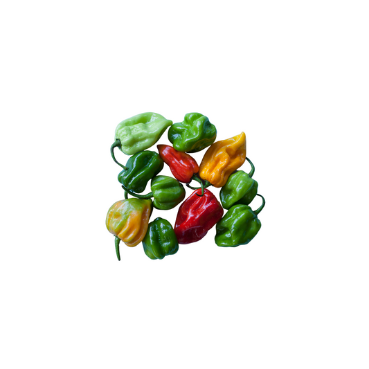 Scotch Bonnet 250g
